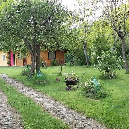 House With Park - Cinqueterre *